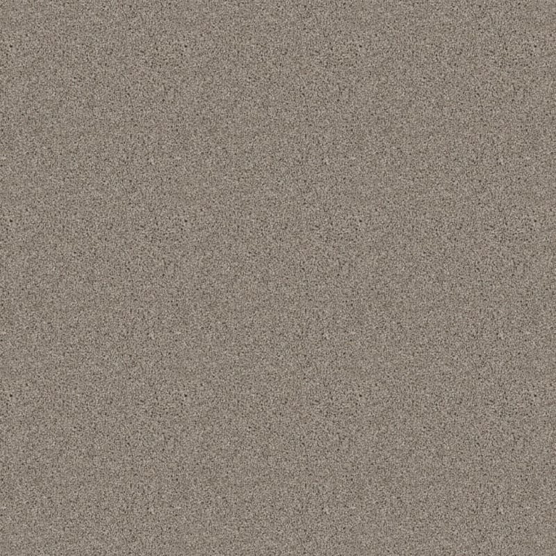 Dx840 carpet by Dixie Home