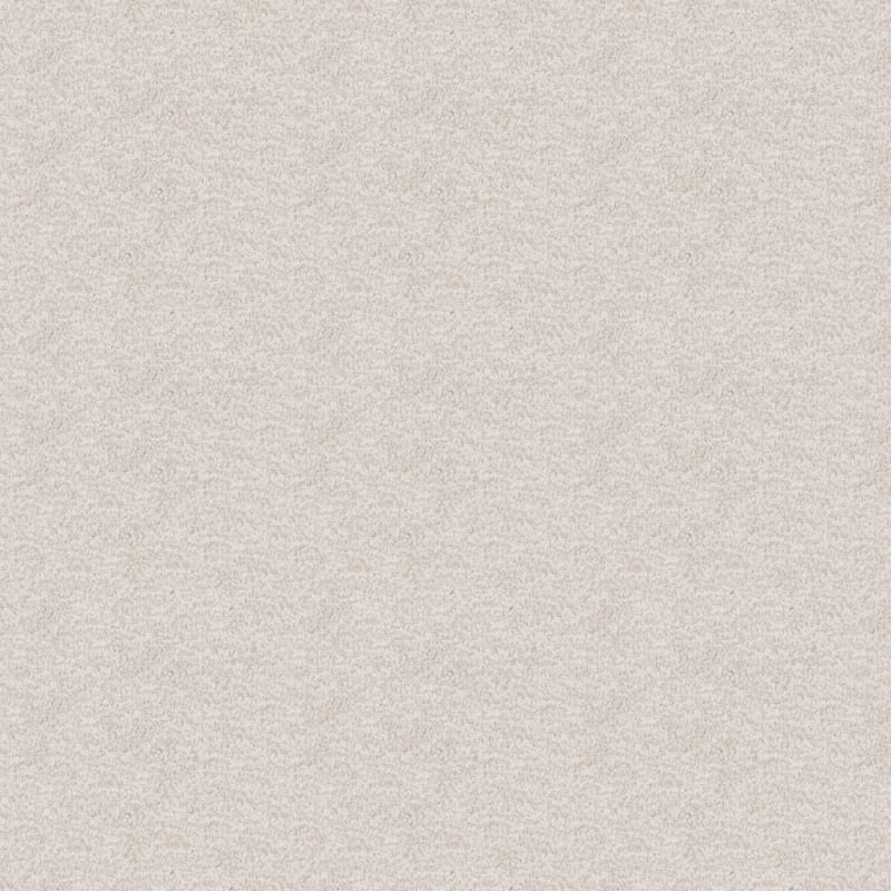 Dx220 carpet by Dixie Home