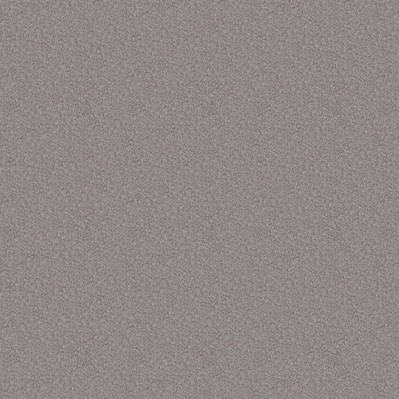 Dx150 carpet by Dixie Home