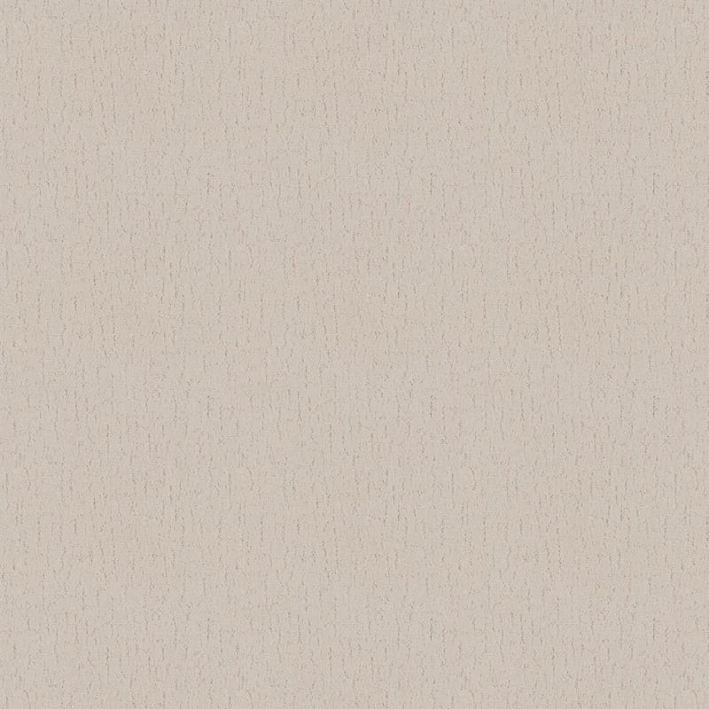 Dx301 carpet by Dixie Home