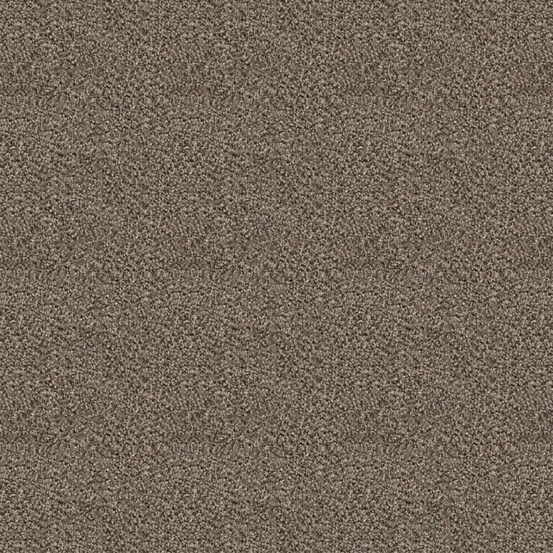 Dx118 carpet by Dixie Home