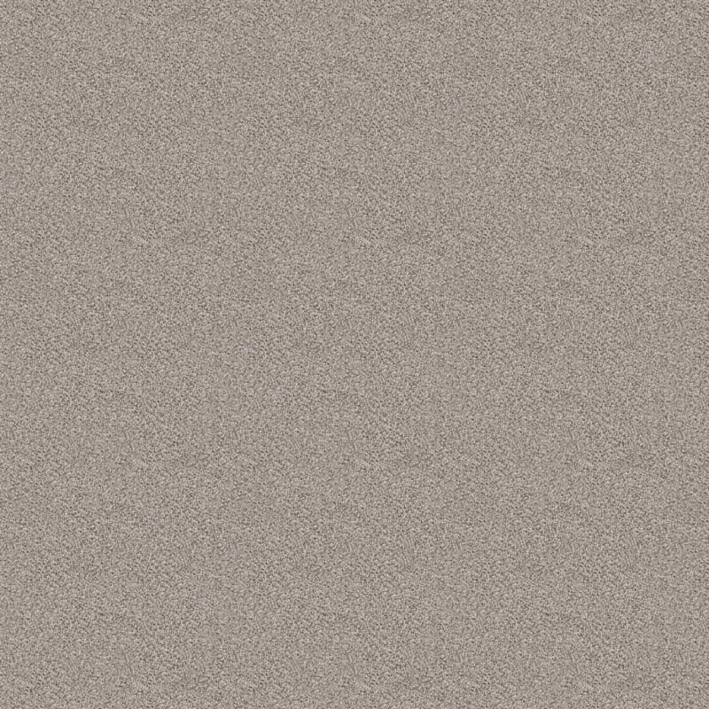 Dx118 carpet by Dixie Home