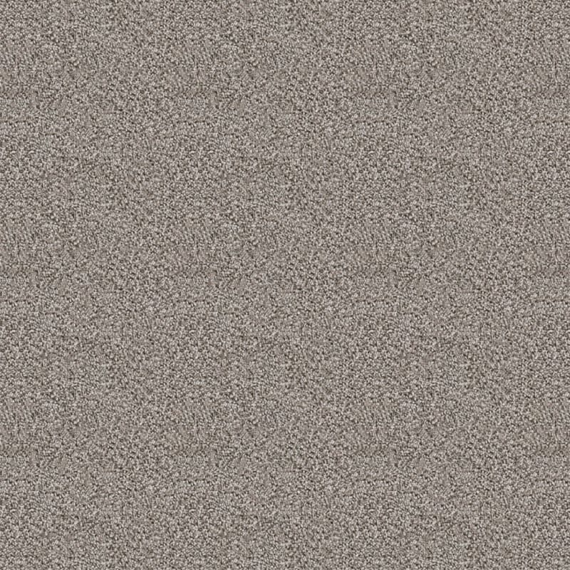 Dx125 carpet by Dixie Home