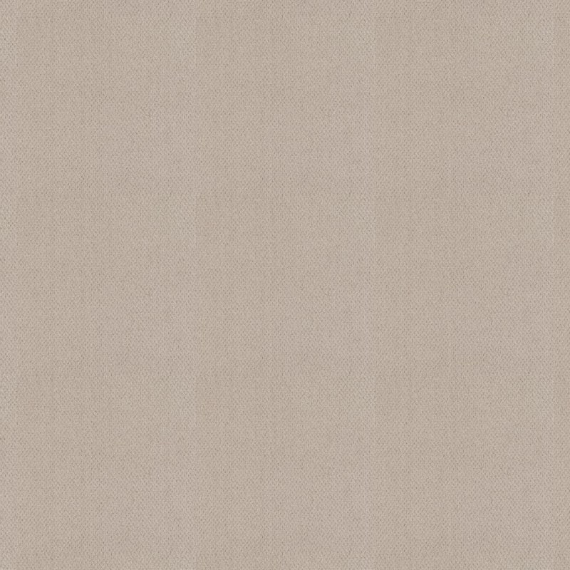 Dx300 carpet by Dixie Home