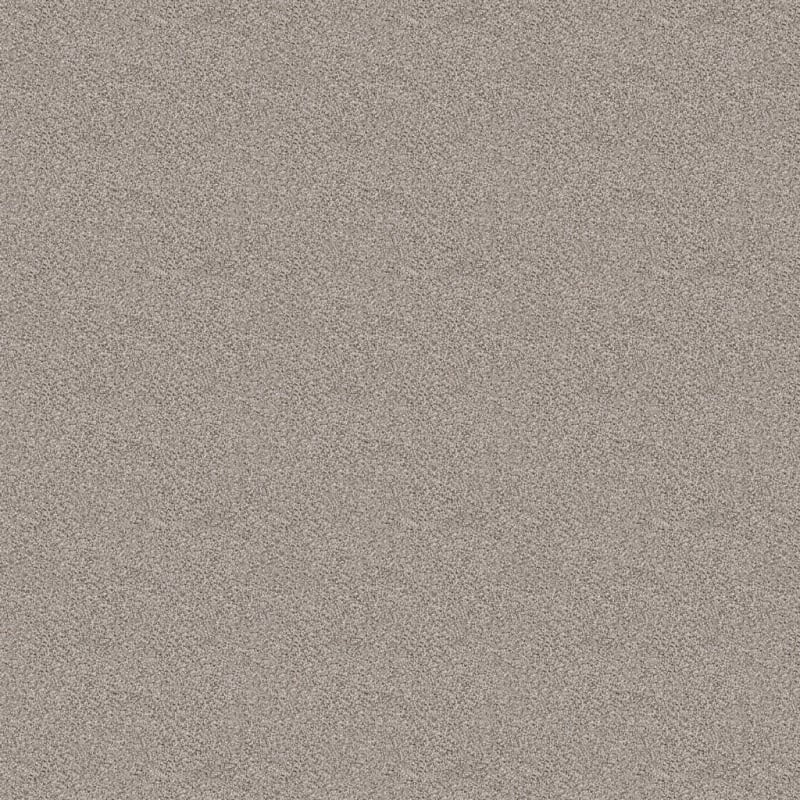 Dx125 carpet by Dixie Home