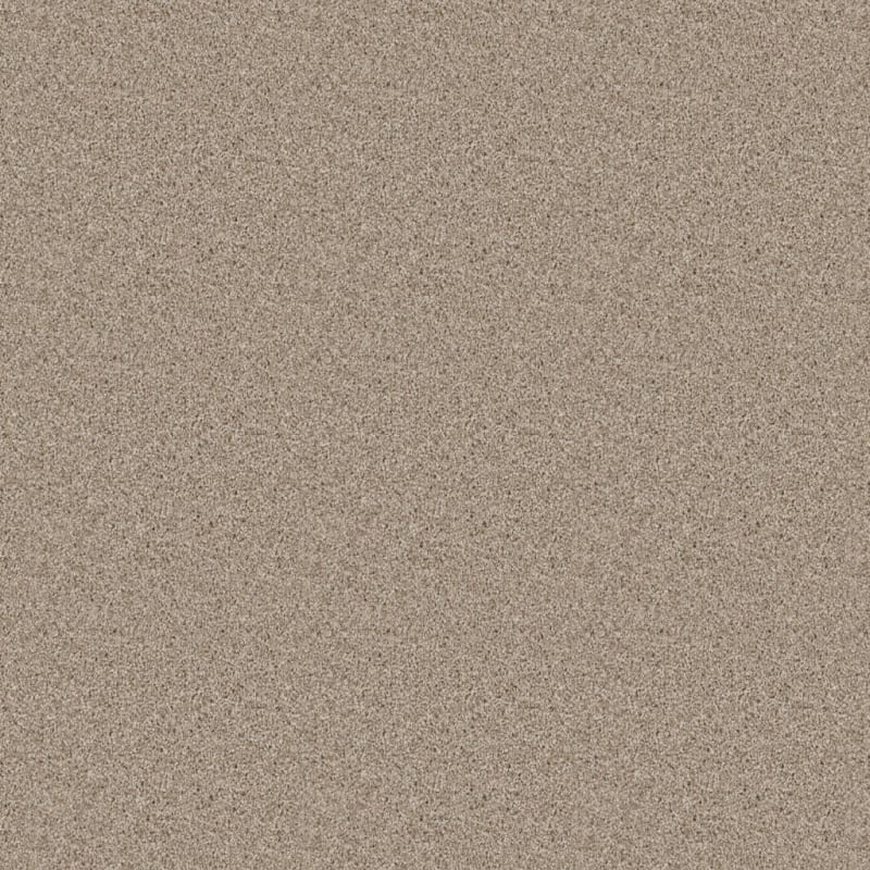 Dx836 carpet by Dixie Home