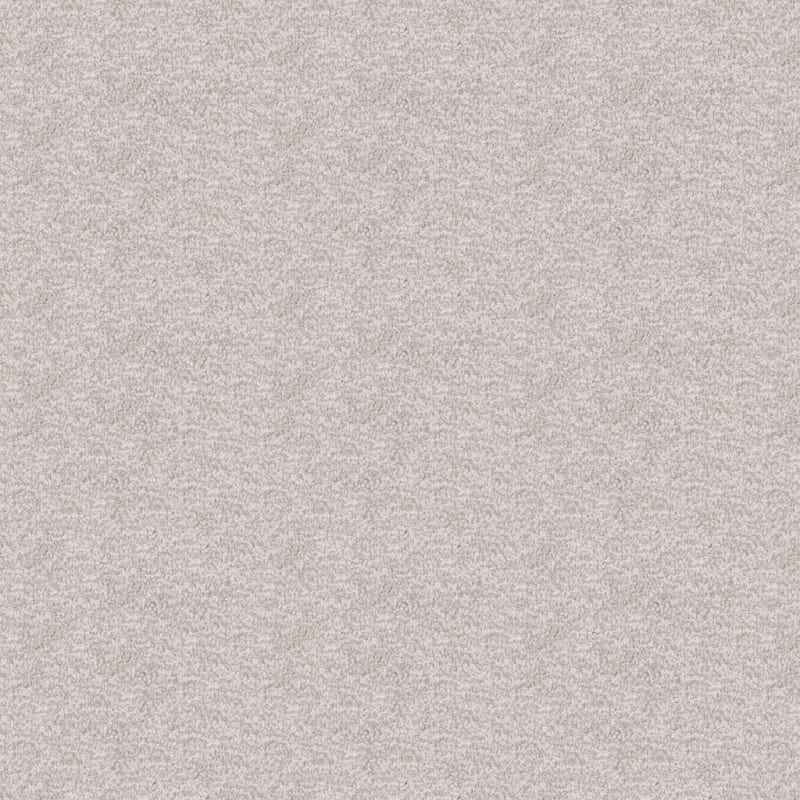 Dx220 carpet by Dixie Home