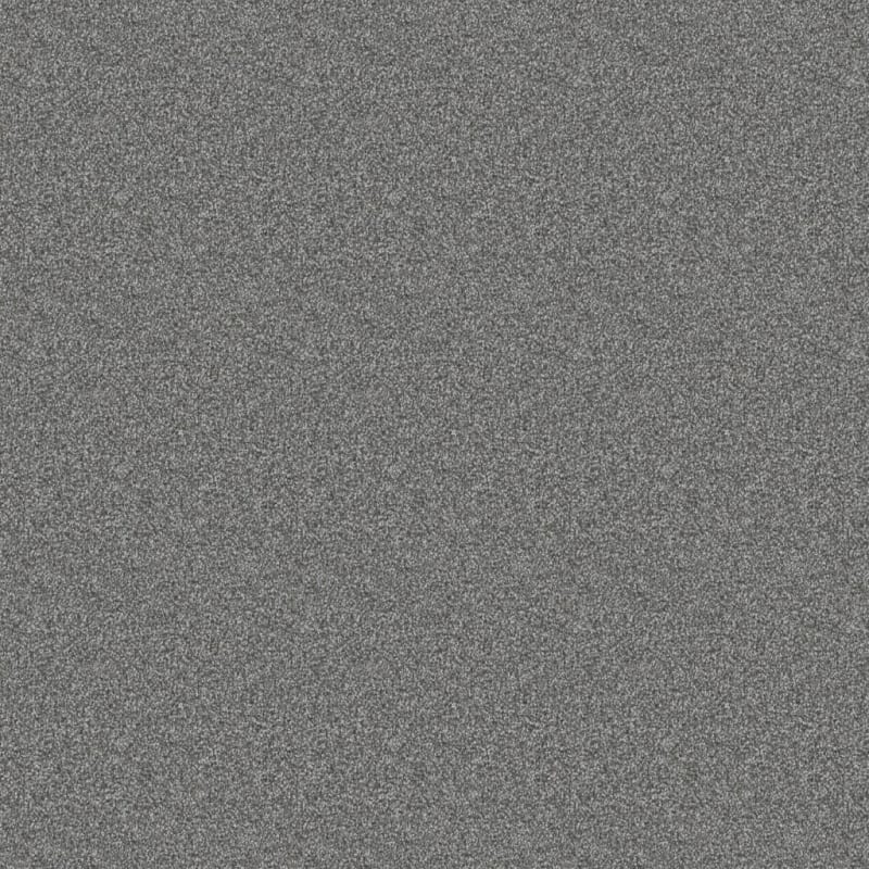 Dx840 carpet by Dixie Home