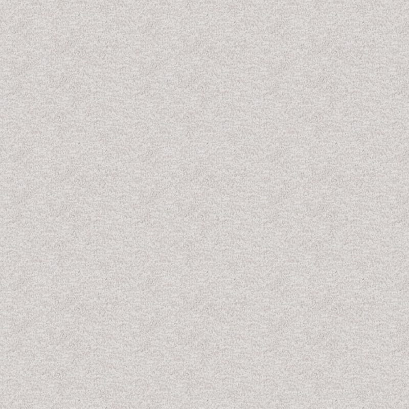 Dx220 carpet by Dixie Home