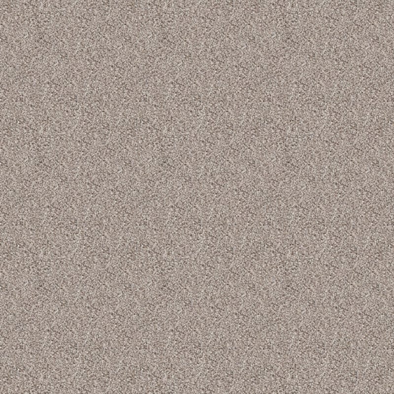 Akita carpet by Dixie Home