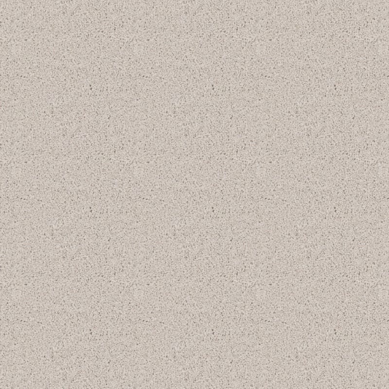 Dx840 carpet by Dixie Home