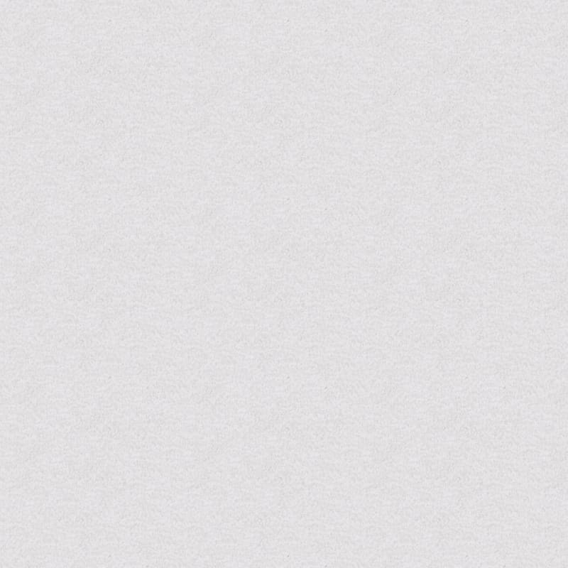 Dx220 carpet by Dixie Home