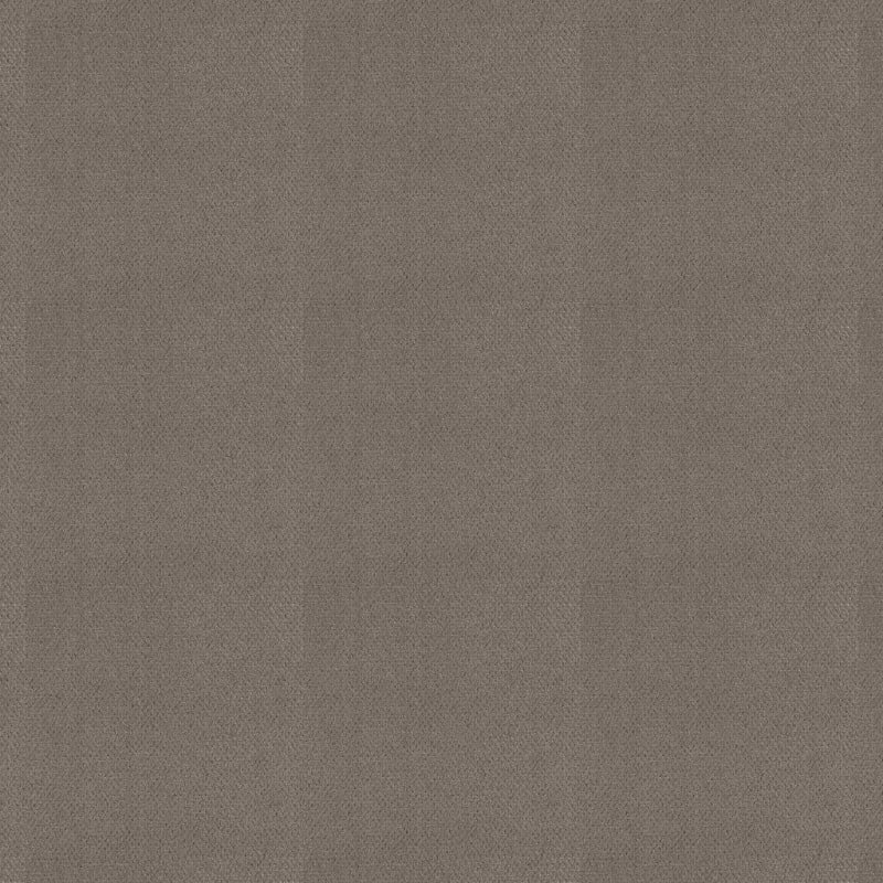 Dx300 carpet by Dixie Home