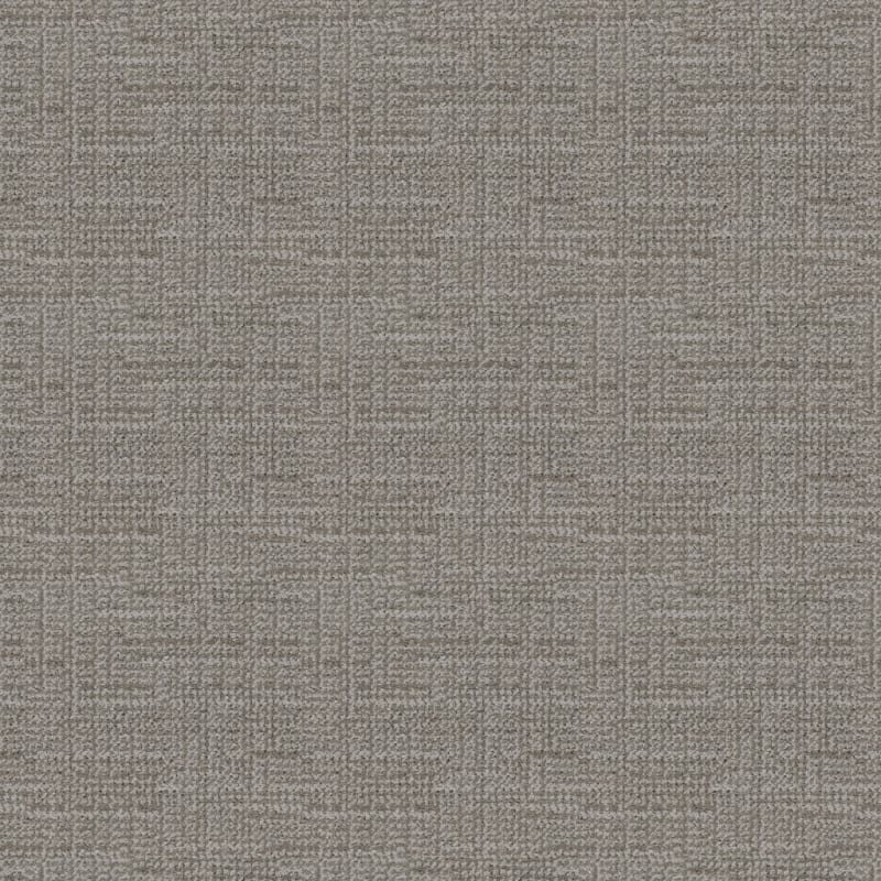 Natural Order carpet by Dixie Home