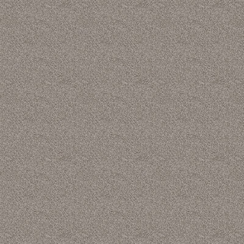Dx118 carpet by Dixie Home