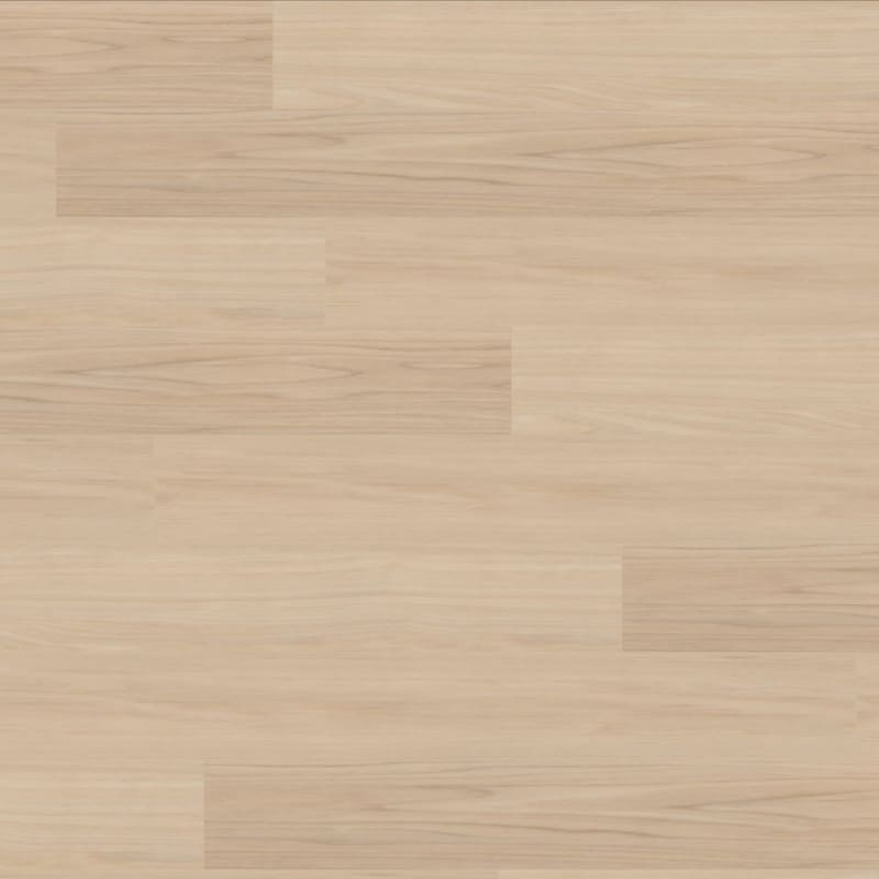 Bravo carpet by TRUCOR®
