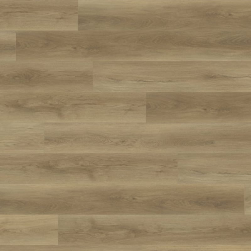 TX101 carpet by TRUCOR®