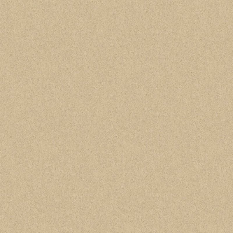 Americana carpet by Masland