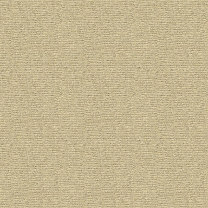 Helena carpet by Masland