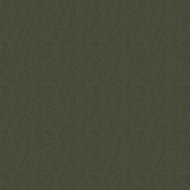 Panache carpet by Masland