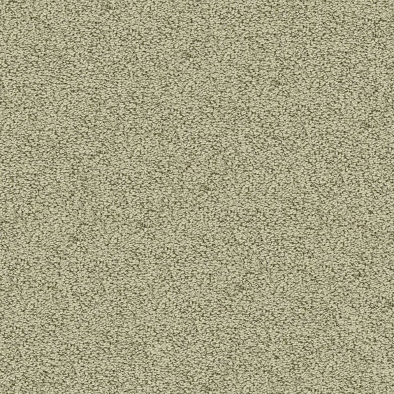 Marina Del Mar carpet by Masland