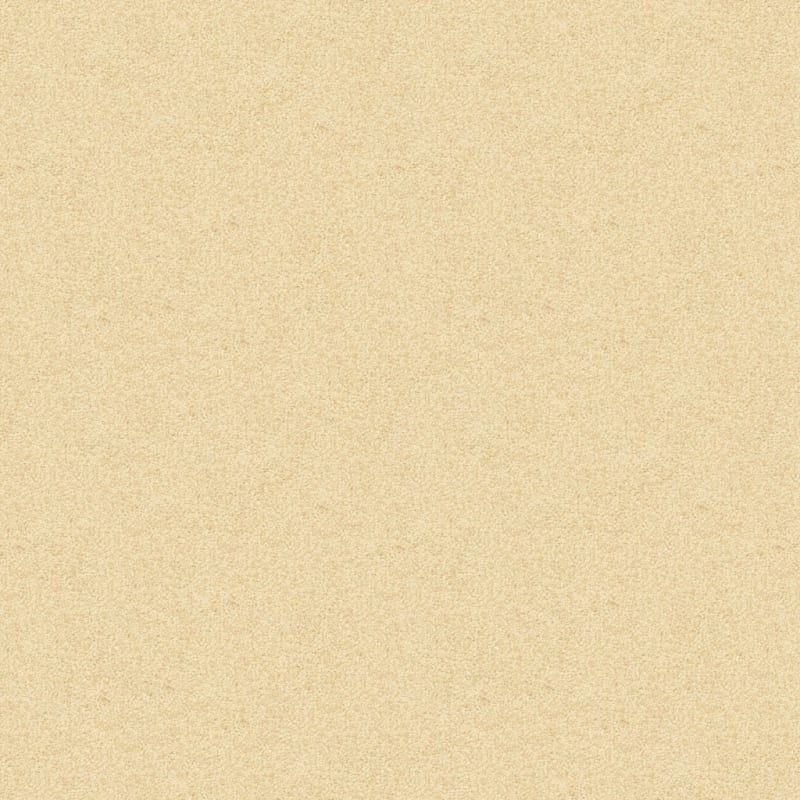 Vero Beach carpet by Masland