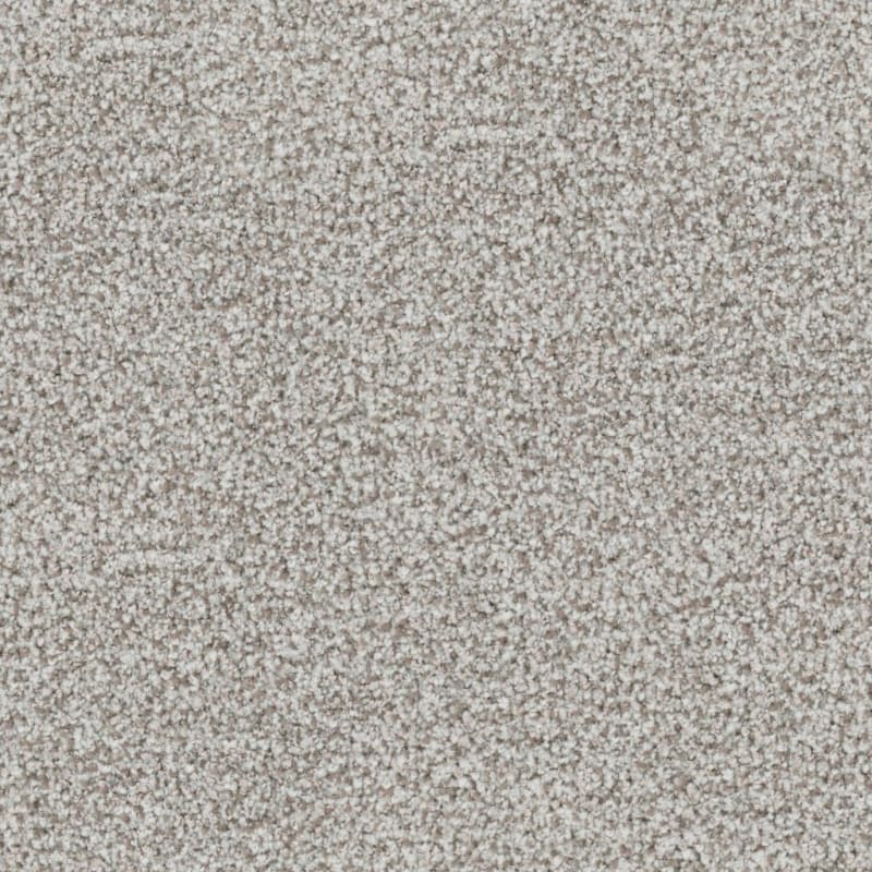 St. Augustine carpet by Masland