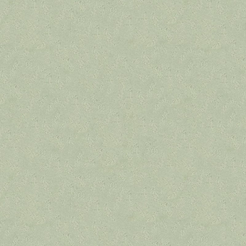 True Luxury carpet by Masland