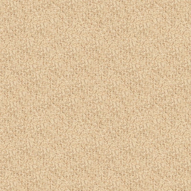 Sea Grass carpet by Masland