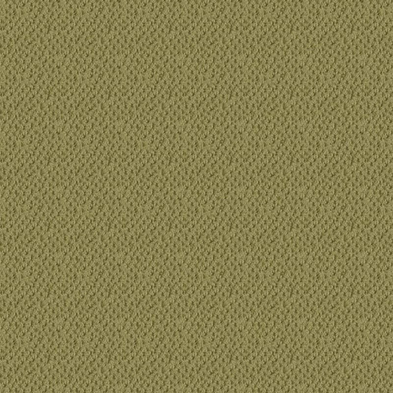 Seurat carpet by Masland