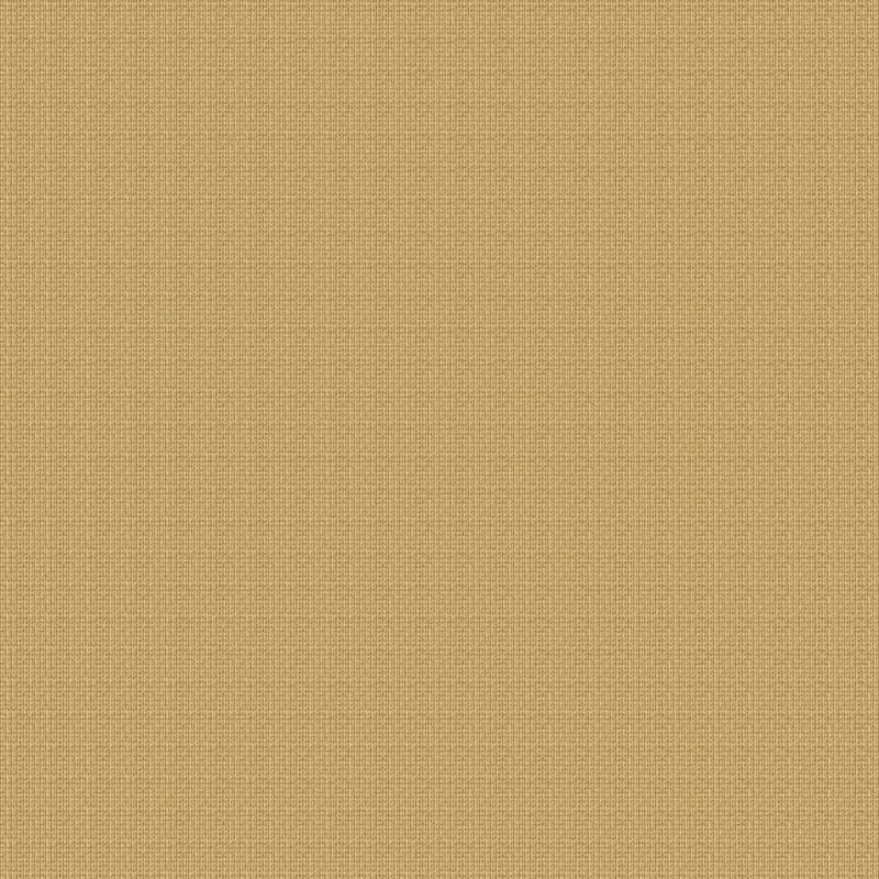 Tresor II carpet by Masland