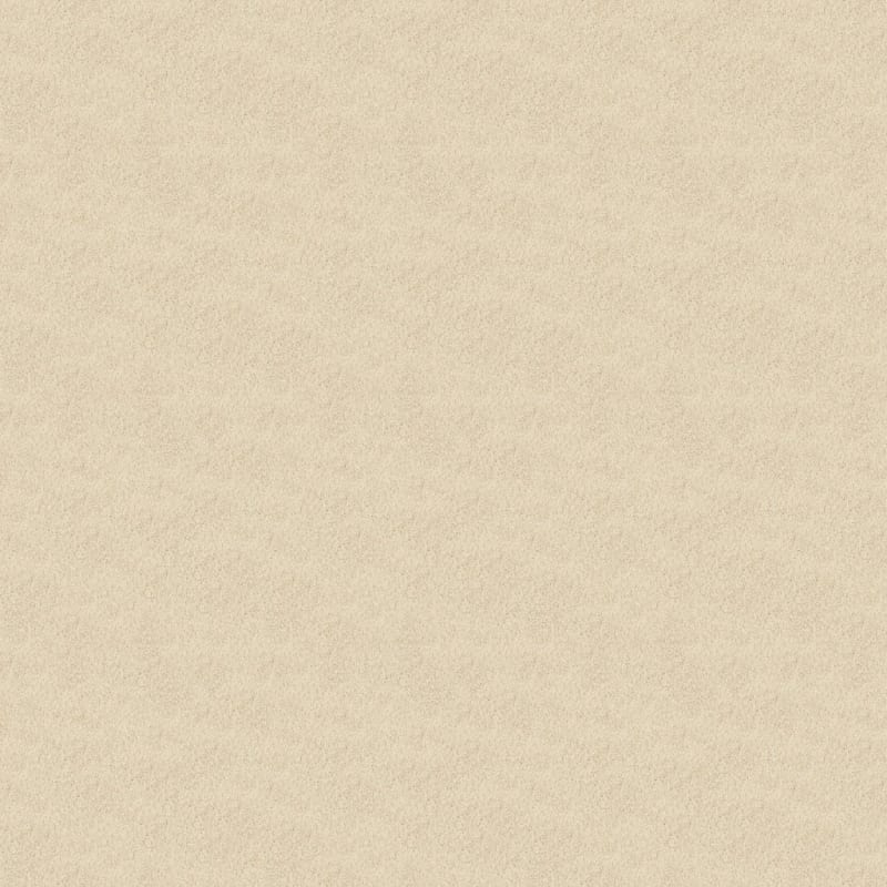 Key West carpet by Masland