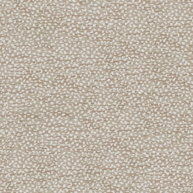 Jag carpet by Masland