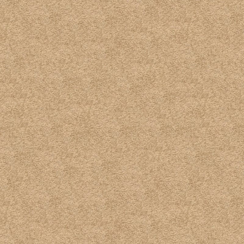 Knockout carpet by Masland