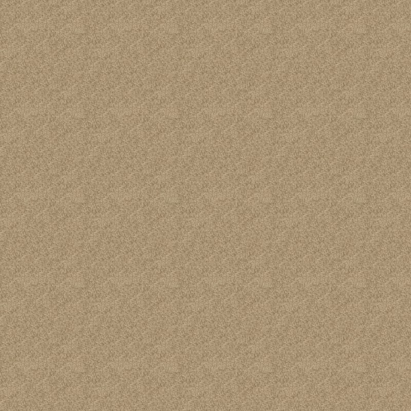 Oceanside carpet by Masland