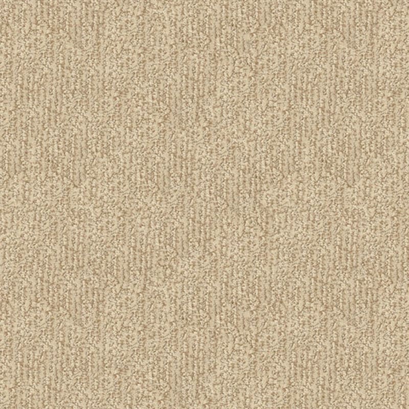 Mesa Verde carpet by Masland