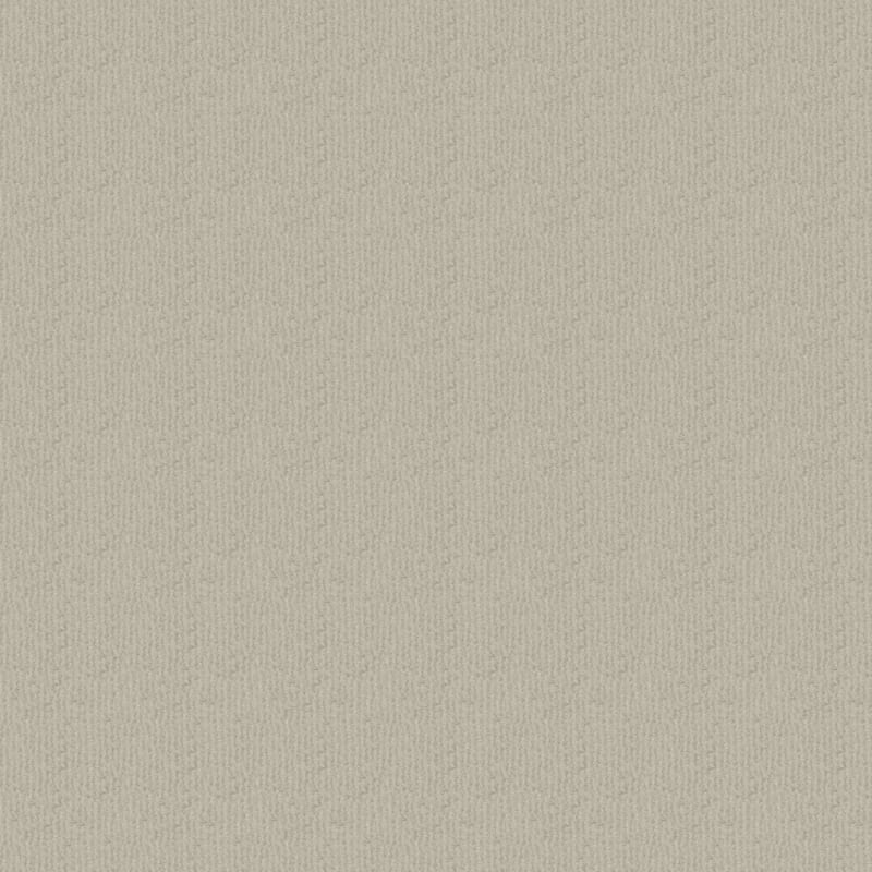 Pinehurst carpet by Masland