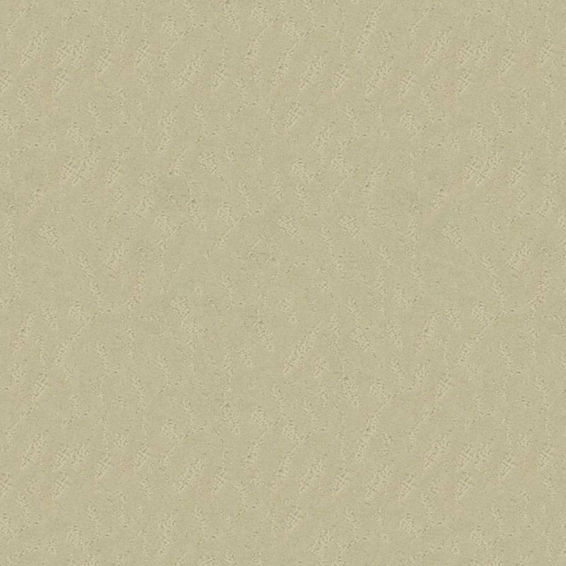 True Luxury carpet by Masland