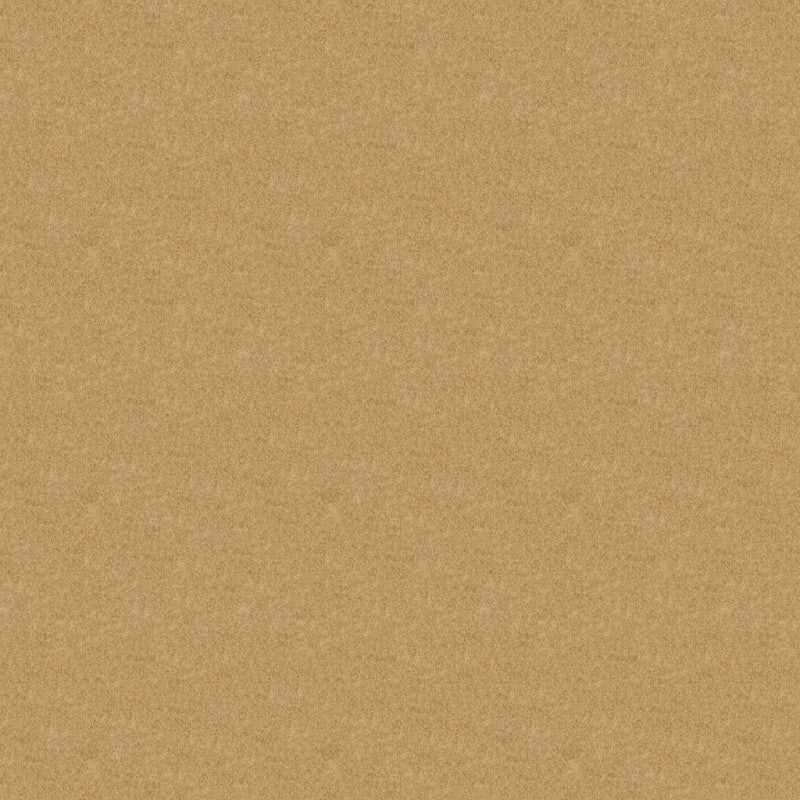 Key West carpet by Masland