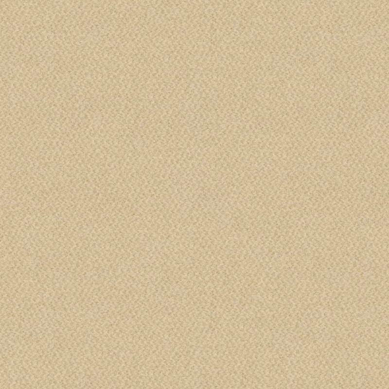 New Hope carpet by Masland