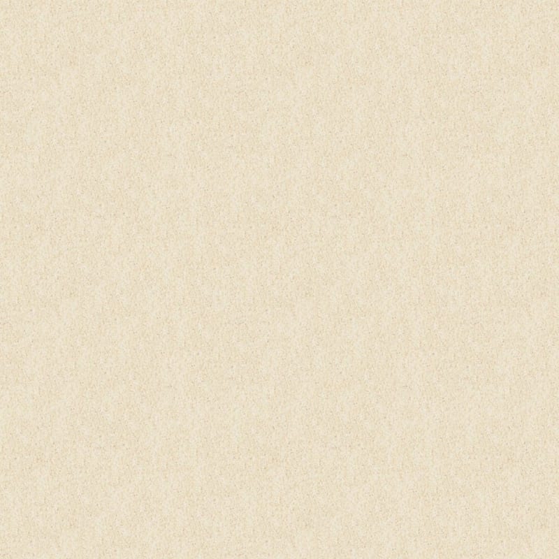 Oceanside carpet by Masland