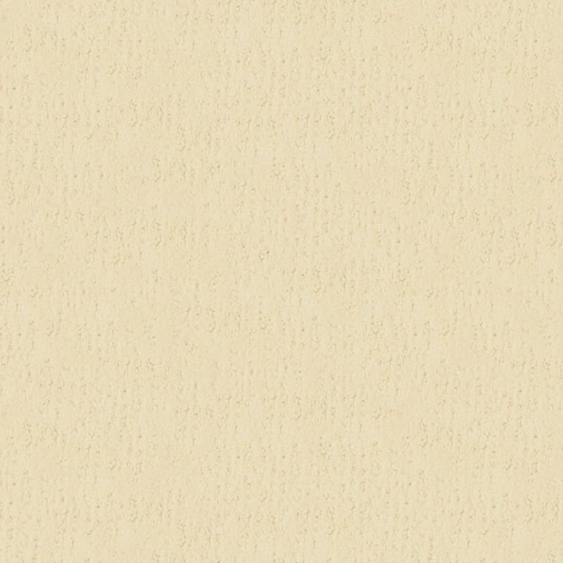 Santa Barbara carpet by Masland