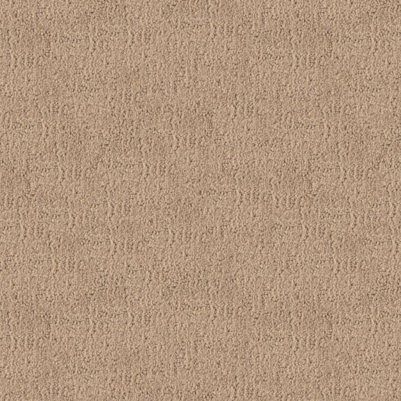 Santa Barbara carpet by Masland