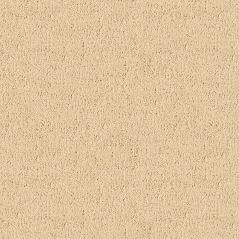 Santa Barbara carpet by Masland