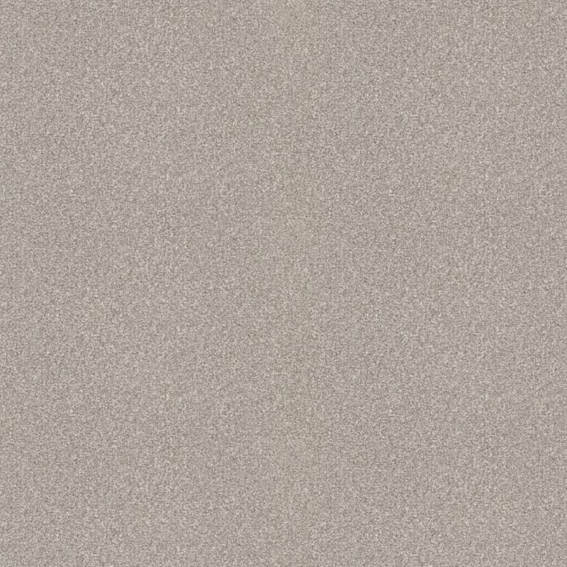 Hunter carpet by Masland