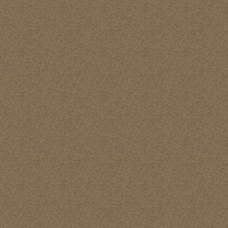 Key West carpet by Masland