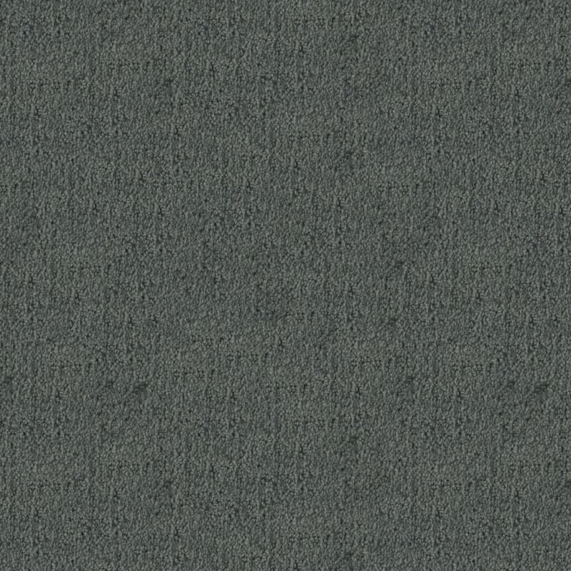 Santa Barbara carpet by Masland