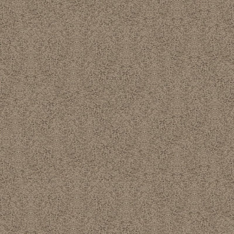 Shangri-La Too carpet by Masland