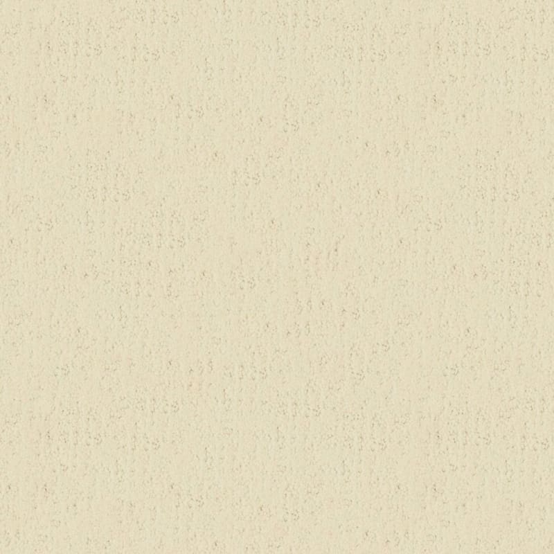 Santa Barbara carpet by Masland