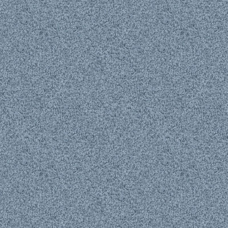 Santa Rosa carpet by Masland